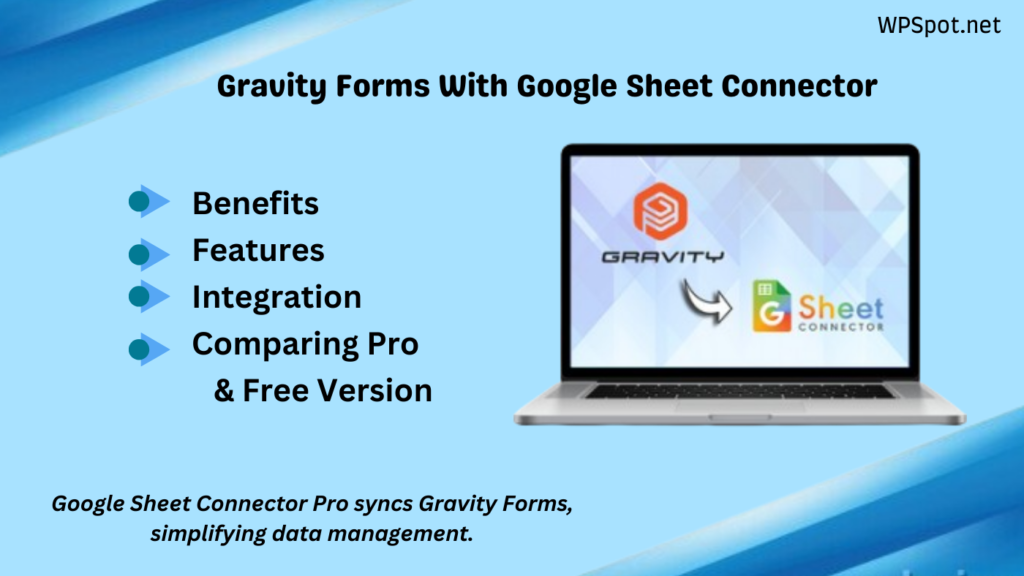 Gravity Forms Google Sheet Connector Pro